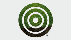 Biodiversity Biodiversity
