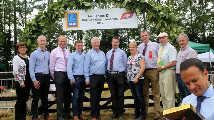 ABP Proud Sponsors of the Iverk Show ABP Proud Sponsors of the Iverk Show