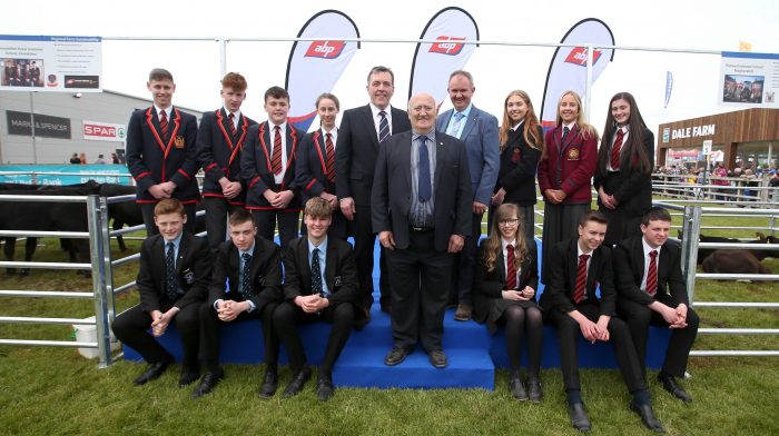 Teenagers Win Calves At Balmoral Show In ABP Angus Youth Challenge Final Teenagers Win Calves At Balmoral Show In ABP Angus Youth Challenge Final