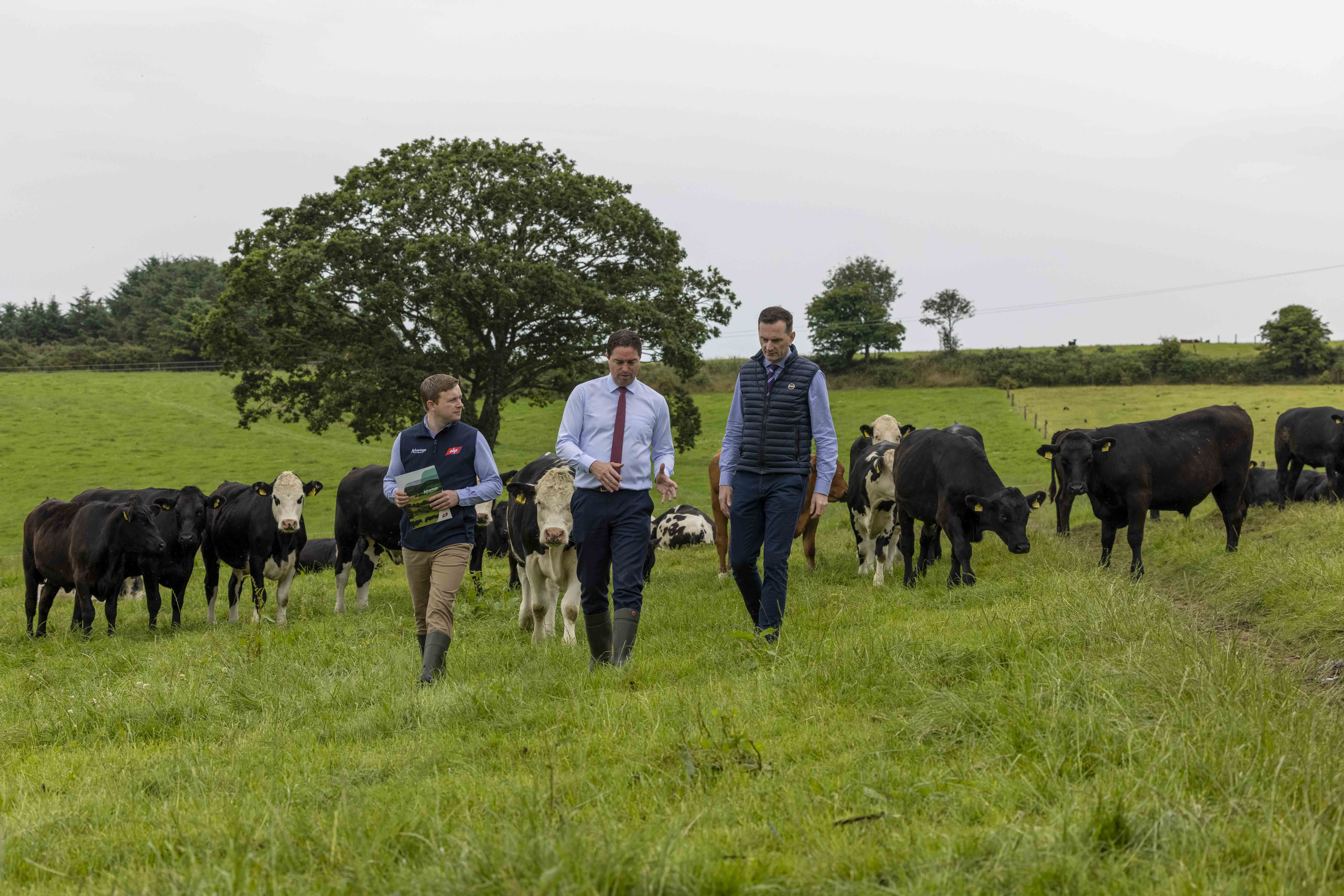 Irish Height: Genetics, Diet, And The Factors That Play A Role - aknspiv