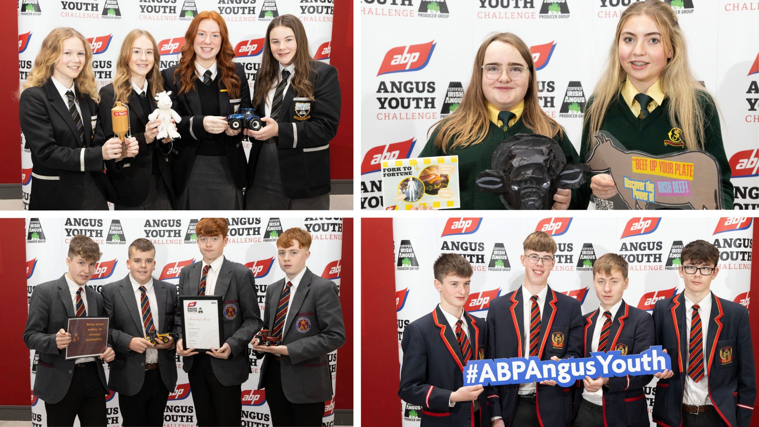 Finalists for the 2025 ABP Angus Youth Challenge Announced