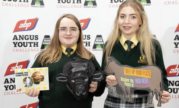 ABP Youth Challenge 2024: 28 Teams Vie for Angus Calves