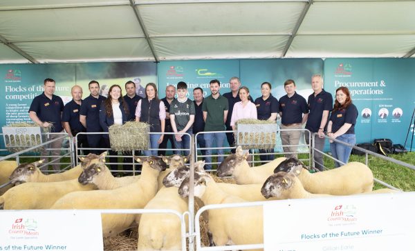 Irish Country Meats reopens Flocks of the Future 2026