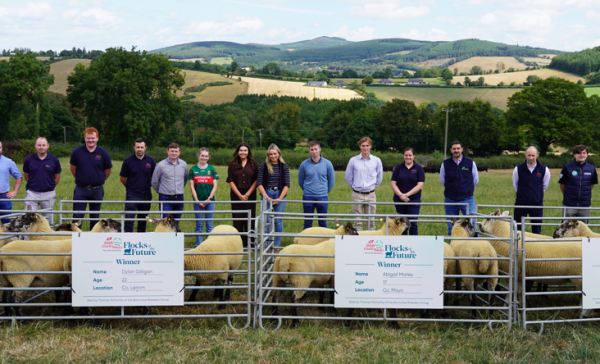 ICM Flocks of the Future Winners Announced